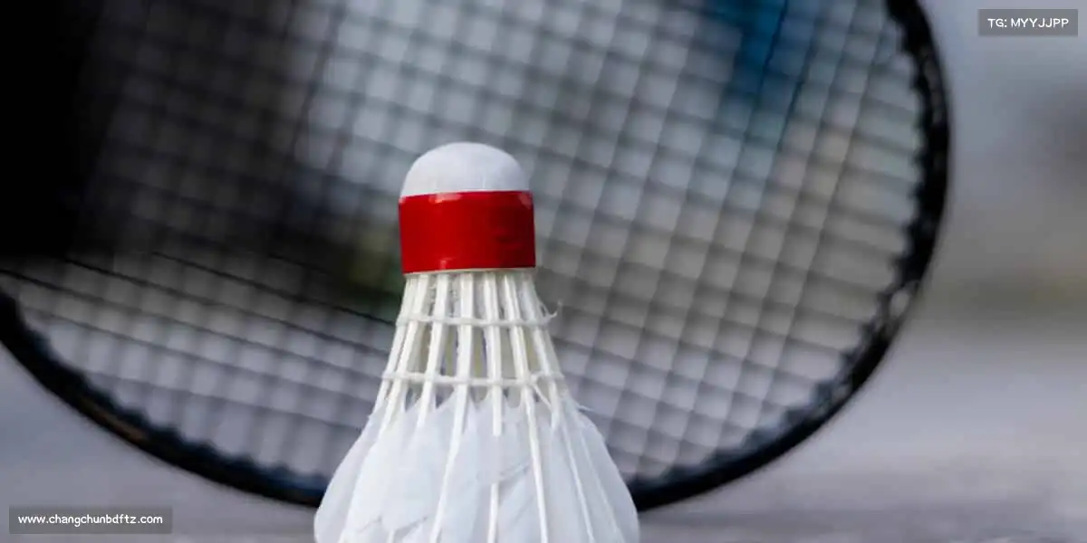 南宫NG28🏀用汗水诠释热爱，用拼搏定义青春！